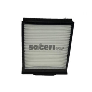 POLLEN FILTER (AH199) 7701064235