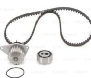 T/BELT injection pump