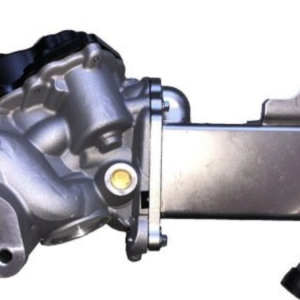 EGR VALVE with COOLER