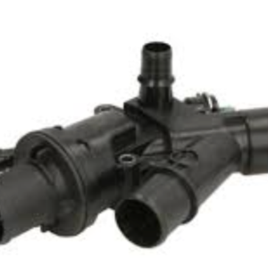 THERMOSTATE & HOUSING