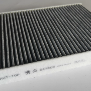 POLLEN FILTER (AHC352)