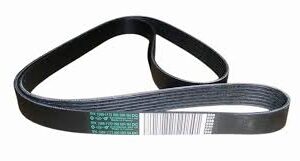 DRIVE BELT  7pk1569 117209058R