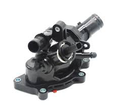 THERMOSTATE WITH HOUSING 8200700094