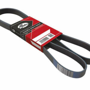 DRIVE BELT (7PK1685) 117206599R