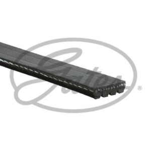 FAN BELT 6453 L2